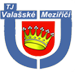 TJ Valašské Meziříčí